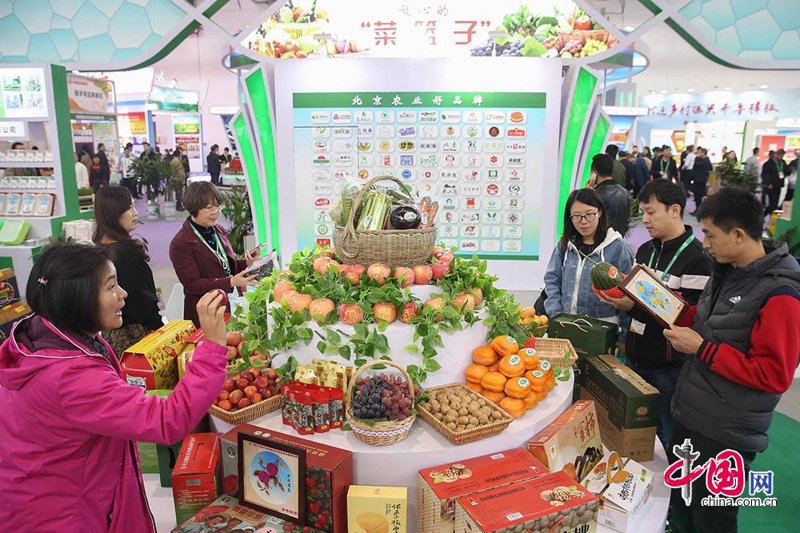 代用茶批发行业新趋势:市场洞察与未来预判